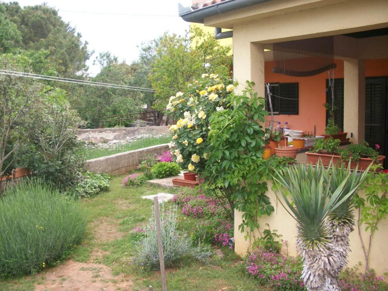 פטרצ'אנה Apartments Mirjana מראה חיצוני תמונה