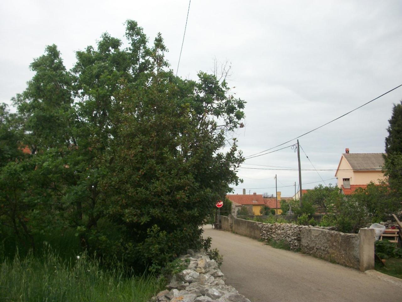 פטרצ'אנה Apartments Mirjana מראה חיצוני תמונה