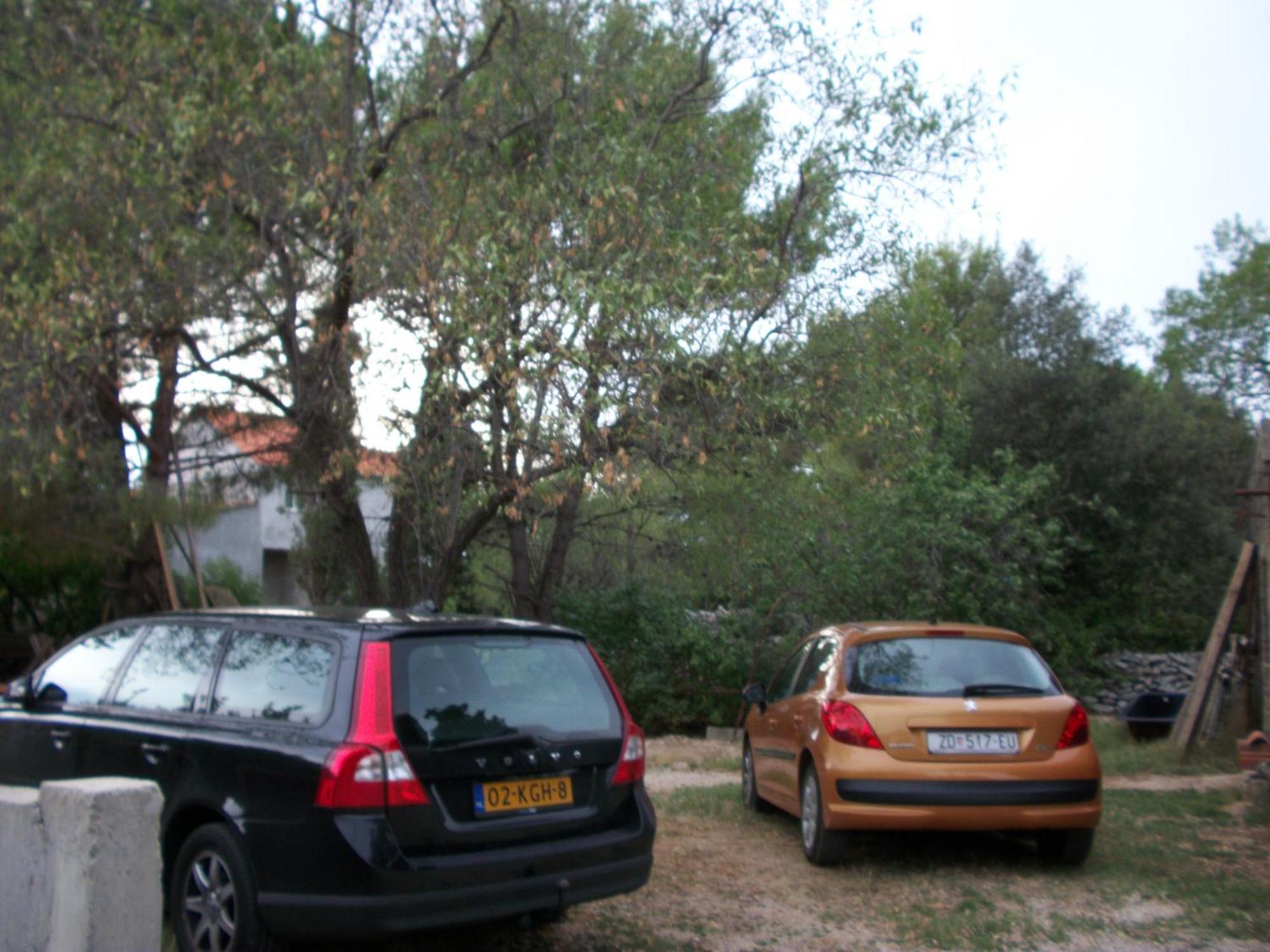 פטרצ'אנה Apartments Mirjana מראה חיצוני תמונה