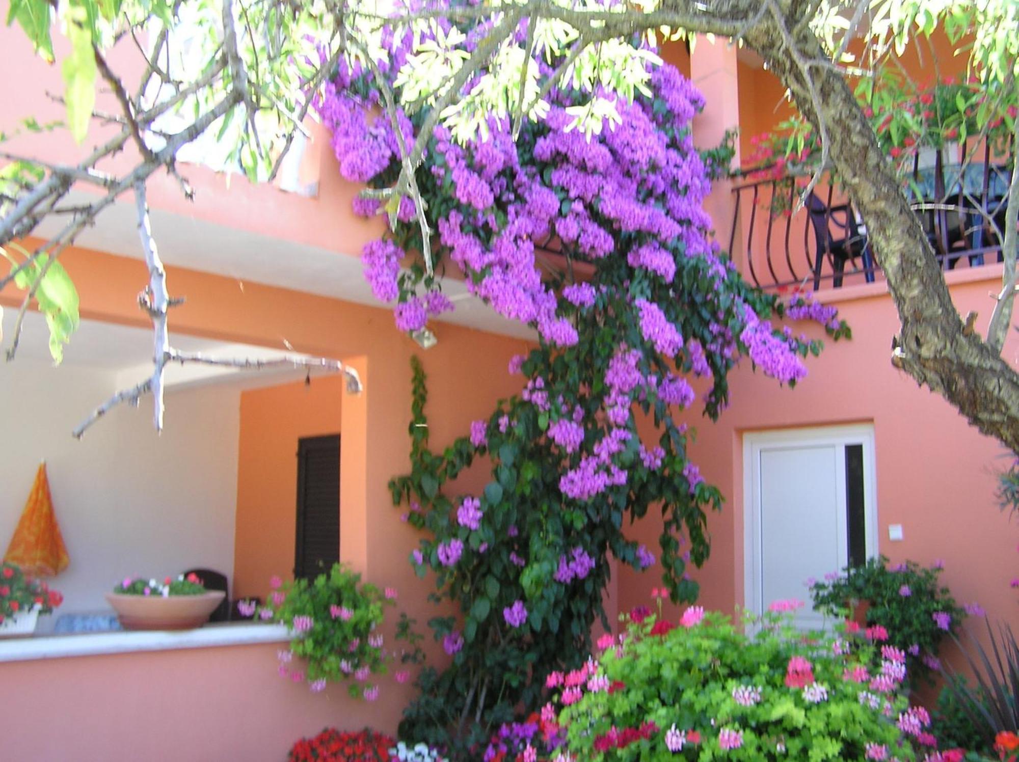 פטרצ'אנה Apartments Mirjana מראה חיצוני תמונה