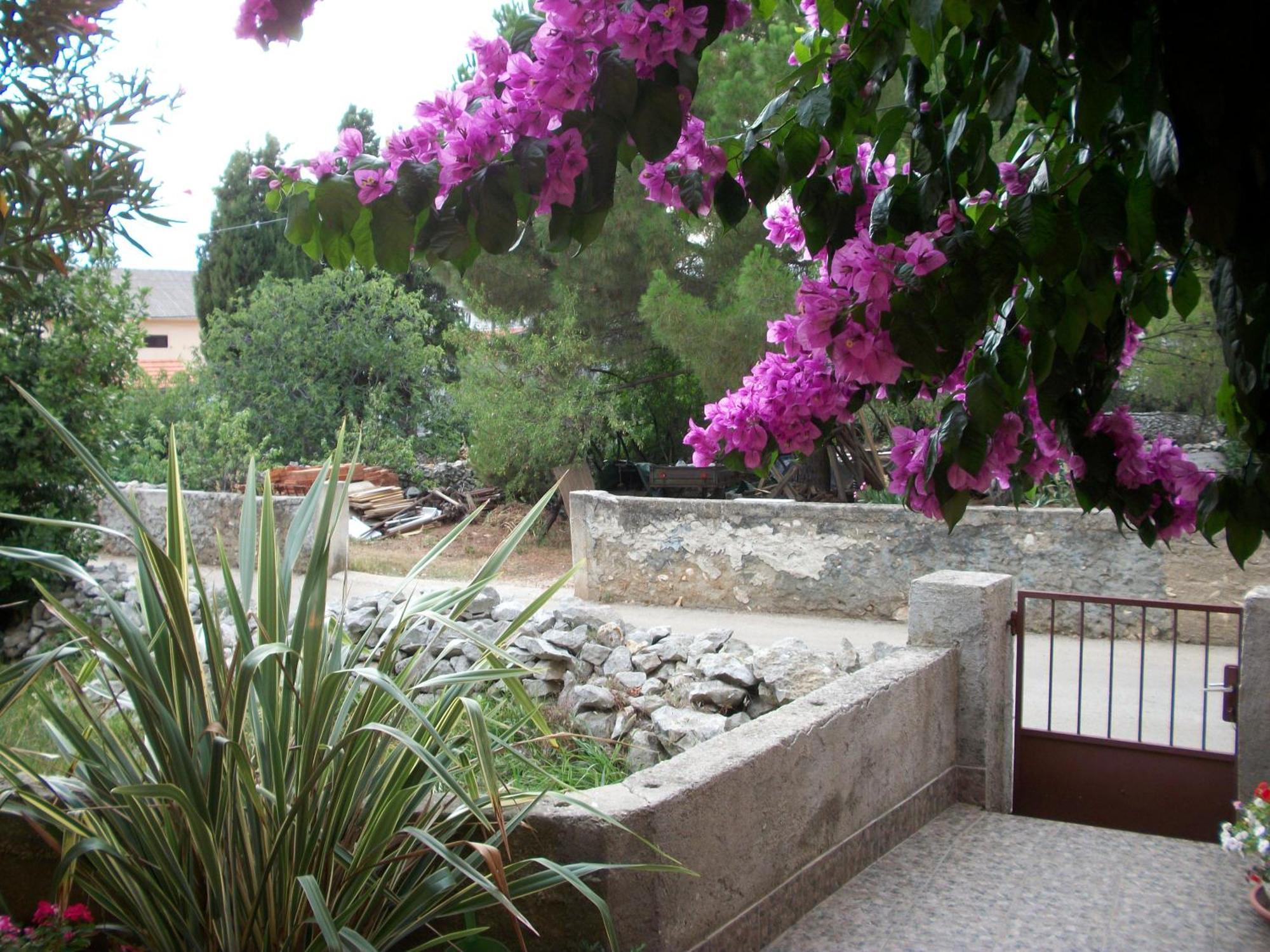 פטרצ'אנה Apartments Mirjana מראה חיצוני תמונה