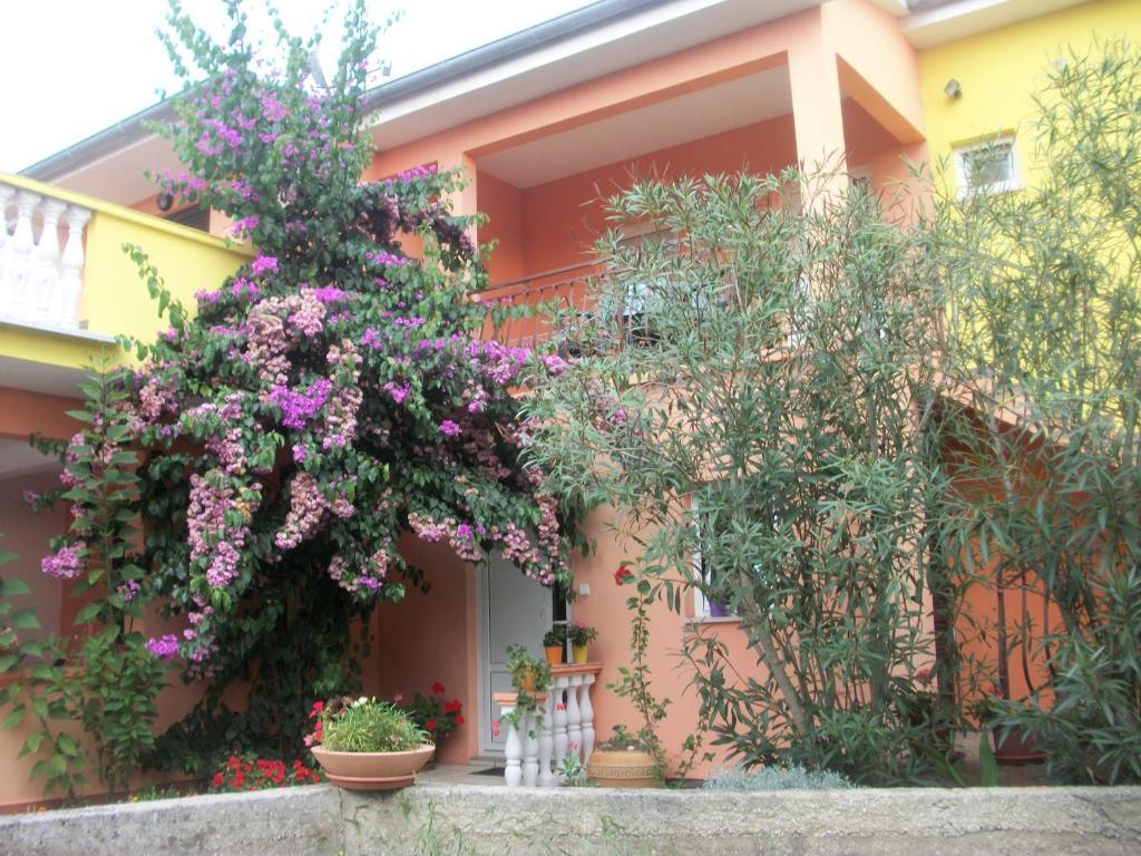 פטרצ'אנה Apartments Mirjana מראה חיצוני תמונה